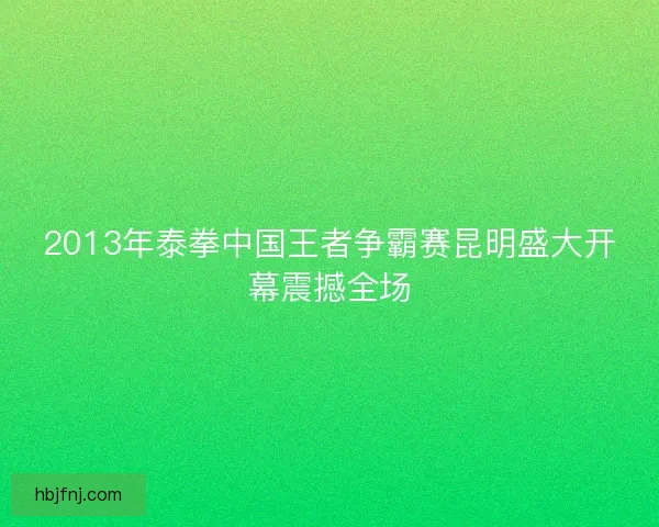 2013年泰拳中国王者争霸赛昆明盛大开幕震撼全场