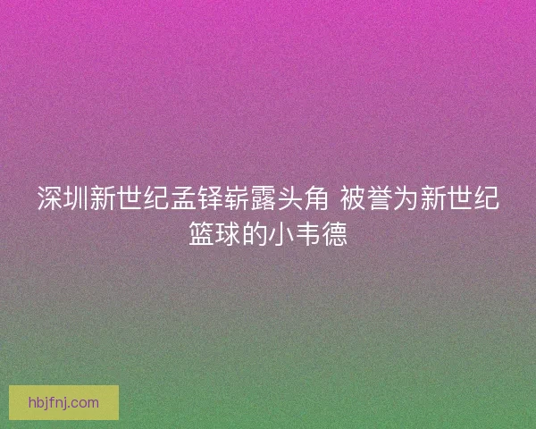 深圳新世纪孟铎崭露头角 被誉为新世纪篮球的小韦德