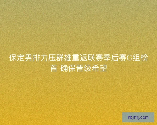 保定男排力压群雄重返联赛季后赛C组榜首 确保晋级希望